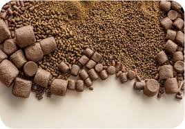 خوراک ماهی قزل‌ آلا پرورشی